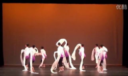 古典舞蹈教学视频,传承经典舞姿之美